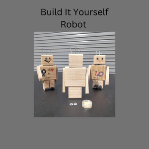 Build It Yourself Robot 1