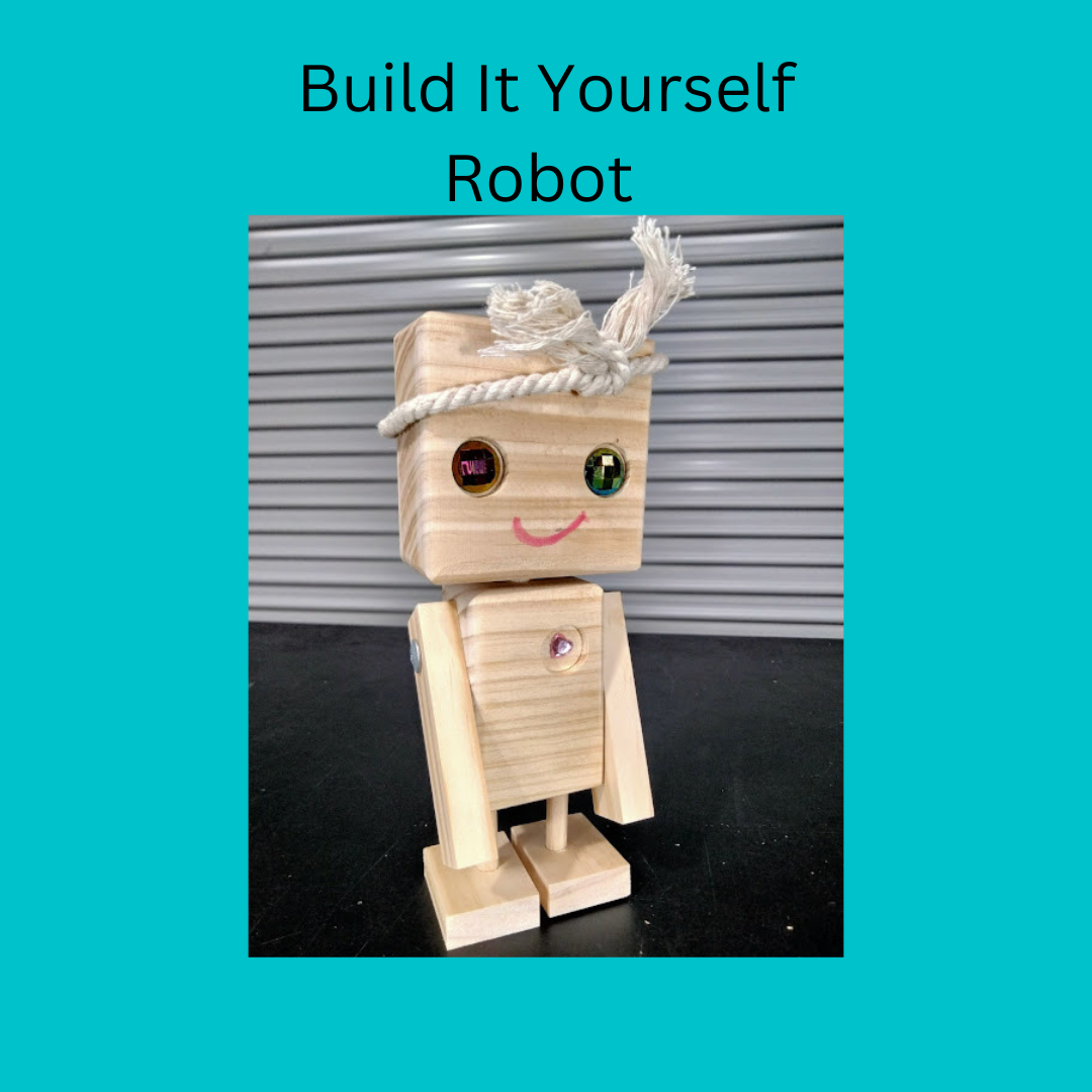 Build It Yourself Robot 2